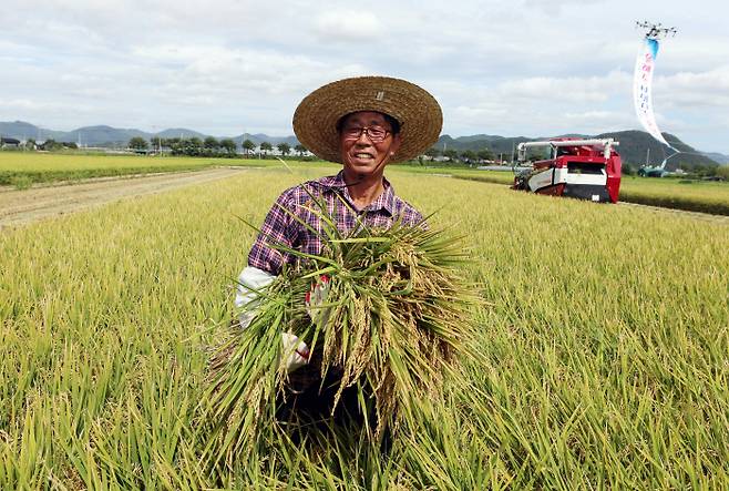 전남 해남군의 ‘농민수당’ 지급 결정으로 농촌은 물론 도시의 고질적 문제를 해결하는 방안으로 ‘농민기본소득제’가 관심을 끌고 있다. 사진은 지난달 22일 올해 부산지역 첫 벼 수확이 이뤄진 강서구 들녘에서 한 농부가 활짝 웃는 모습이다. 연합뉴스