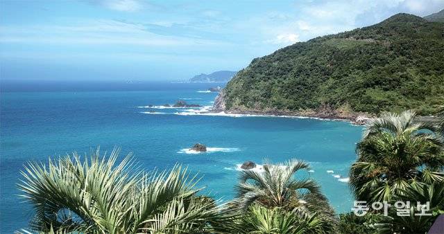 태풍이 지난 뒤 찾은 사쓰마반도 서해안의 동중국해. 환상적인 빛깔의 바다와 초록 섬, 우거진 팜트리가 어울려 빚어낸 이 풍경은 태평양의 하와이를 연상시켰다. 해도8경(미나미사쓰마시)은 이 산허리를 감아 도는 해안도로에 조성한 여덟 개 전망소 앞으로 펼쳐지는 비경의 바다 풍광을 말한다. 사쓰마반도(일본 가고시마현)=조성하 전문기자 summer@donga.com