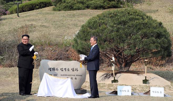 문재인 대통령과 북한 김정은 국무위원장이 27일 오후 판문점 인근 '소떼 길'에서 기념 식수 후 표지석 제막을 하고 있다. '소떼 길'은 1998년 6월 16일 고 정주영 현대그룹 명예회장이 민간인 신분 최초로 판문점을 통과해 북한으로 들어간 길이다. [중앙포토]