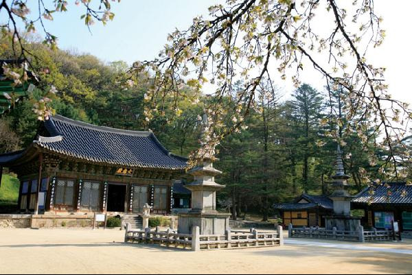 [월간산]직지사 대웅전.