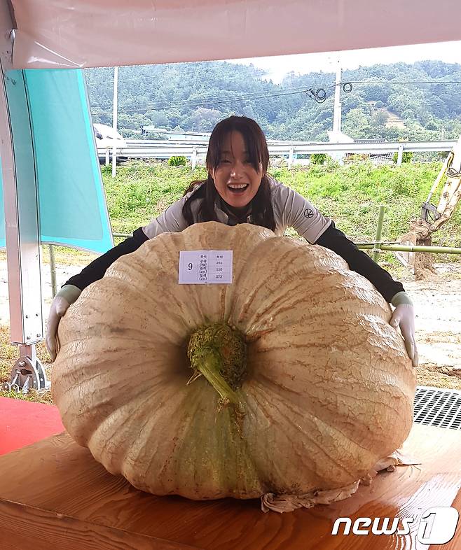 역대 최고 무게(265kg)로 선정된 슈퍼호박_대상 수상작. (농진청 제공) © News1