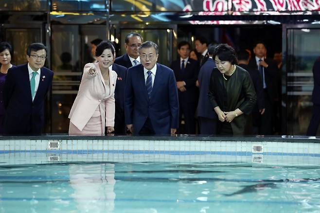 문재인 대통령과 김정숙 여사가 19일 오후 평양 대동강 수산물 식당을 찾아 수조 속 철갑상어를 구경하고 있다. . 평양사진공동취재단