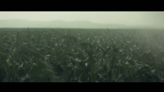 병충해로 인해 식용 작물이 옥수수 밖에 남지 않은 인터스텔라 속 미래 지구. [영화 인터스텔라 캡처]