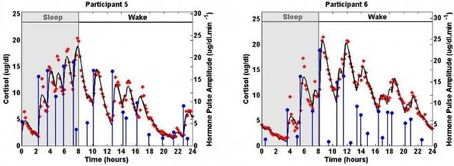 건강한 여성 두 명의 코르티솔 혈중 농도 변화를 보여주는 그래프로 10분 간격으로 측정한 데이터(빨간색 점)를 바탕으로 만들었다. 24시간 일주기리듬을 보이는 가운데 그보다 짧은 주기의 울트라디언리듬도 존재함을 알 수 있다. 부신피질에서 분비되는 코르티솔은 HPA축에 따라 조절되므로 H(시상하부)에서 두 리듬을 발생시킬 가능성이 크다. 실제 일주기리듬을 일으키는 시교차상핵이 시상하부에 있다. - ‘PLOS ONE’ 제공