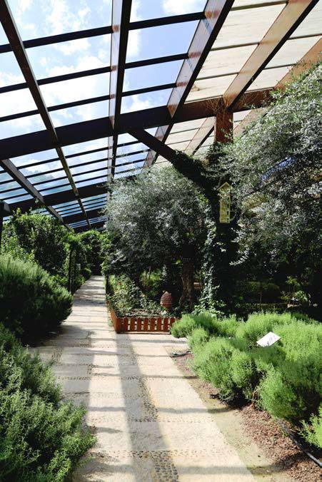 허브온실의 천장은 유리로 되어 있어 하늘이 들어온다