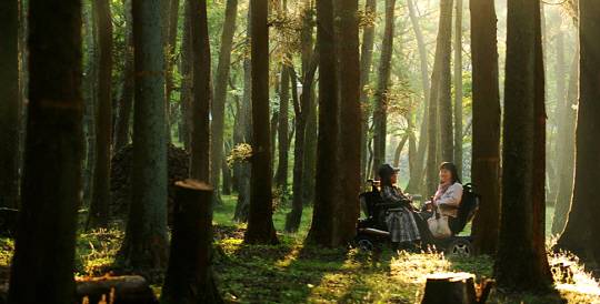 휠체어 여행자가 제주 절물휴양림의 숲을 산책하는 모습.