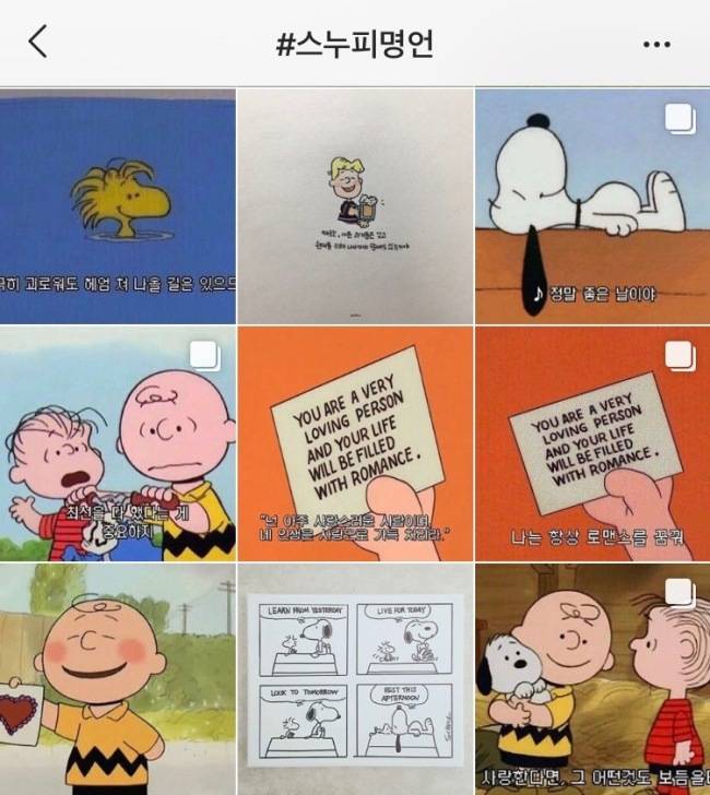 인스타그램 ‘스누피 명언’ 해쉬태그 사진들(10일 기준)