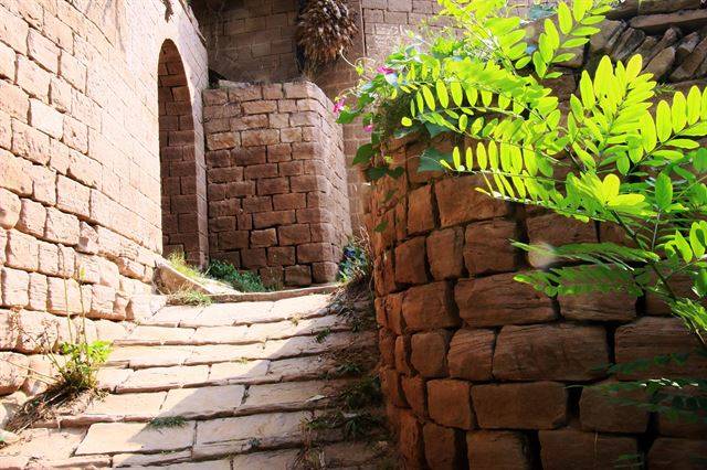 황토고원이지만 꽃도 피고 풀도 자란다. 마을은 돌길로 연결돼 있다.