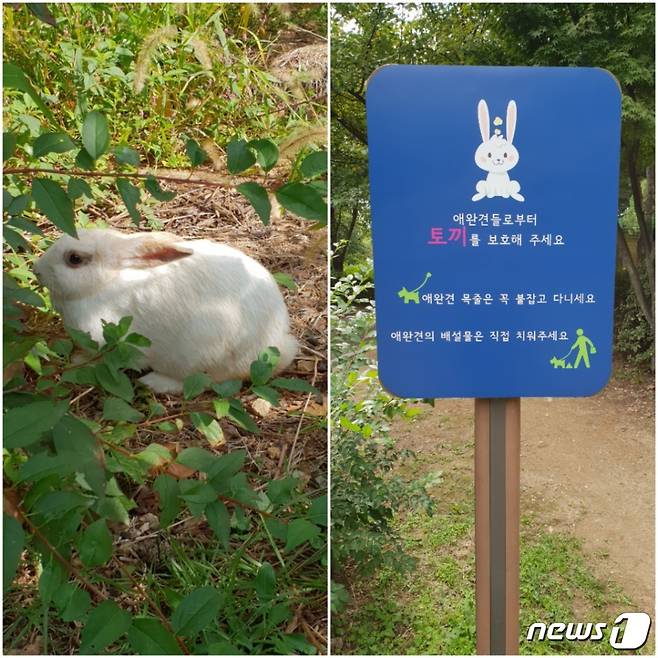 몽마르드 공원은 '토끼 공원'으로도 많이 알려져 있다.© News1 김연수 기자