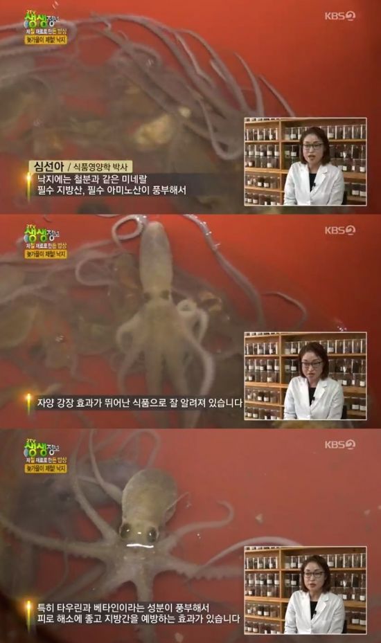 '2TV 생생정보' 낙지 / 사진=KBS2 방송화면 캡처