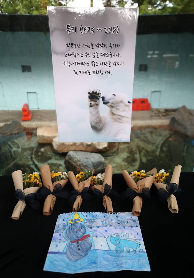 18일 오후 경기도 용인시 에버랜드 통키 사육장 앞에 추모 꽃과 그림 등이 놓여 있다. [연합뉴스]