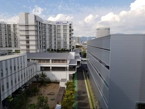 고베아이센터에서 바라본 주변 풍경