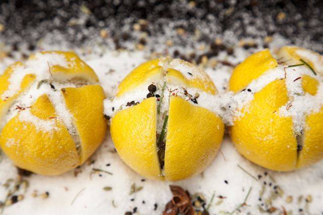 꽃소금과 설탕을 섞어 4조각으로 자른 레몬의 틈새 사이에 꽉꽉 채워 넣으면 레몬 절임이 된다. Modernist Cuisine. LLC.2011.