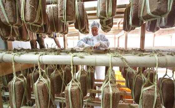 경북 포항의 오지마을에 위치한 한 전통 장 제조기업에서 메주를 매달고 있다. 재래식 메주는 따로 미생물을 식균하지 않고 환경에 있는 것들이 자연히 착생해 자라도록 해준다. 메주 표면이 어느 정도 건조됐다 싶으면 끈으로 매달아서 처마 밑 같은데 걸어둔다. [중앙포토]