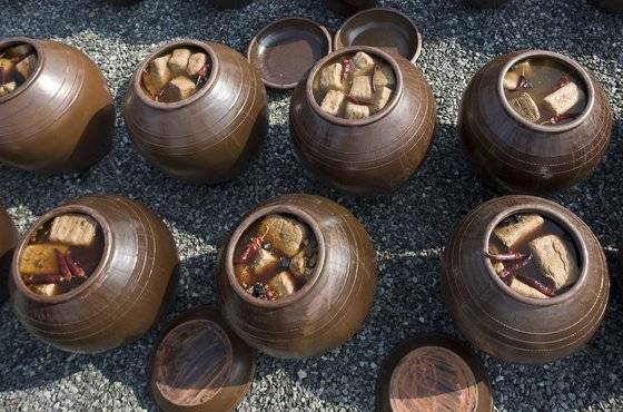 전남 강진 된장마을 장독 풍경. 소금물에 메주를 넣어 두면 메주 속의 효소가 녹아 나와 콩 단백질에 작용해 서서히 분해가 일어난다. 맛있을 정도로 녹여내는 데는 비교적 긴 시간이 필요하다. [중앙포토]