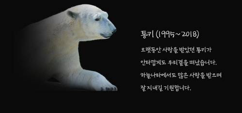 에버랜드 홈페이지 캡처.