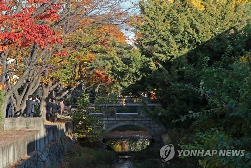 가을 단풍 속 아름다운 '만초천' (서울=연합뉴스) 김인철 기자 = 2일 오후 서울 용산미군기지 버스투어에서 공개된 서울에서 유일하게 복개되지 않은 하천인 '만초천'이 보이고 있다.     yatoya@yna.co.kr  (끝)