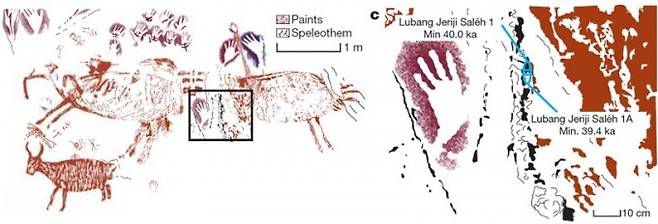 4만 년 전 가장 오래된 구상화 부근 설명 그림. 그림 위치와 탄산칼슘 시료 채취 위치가 나와 있다. 부근 손 스텐실도 비슷한 연대다. - 사진 제공 네이처