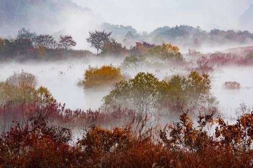 장관을 이룬 주천면 생태공원 (진안=연합뉴스) 이윤승 기자 = 전북 진안군 주천면 신양리 주천 생태공원일대가 운해와 물안개, 단풍으로 절경이다. 용담호 일대에 조성된 생태공원 일대는 2013년 77%의 물이 들어온 후 5년만인 최근 80%의 담수율을 보이면서 장관을 이루고 있다. 2018.11.12 love@yna.co.kr(끝)