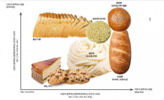 빵의 맛을 결정하는 밀의 글루텐 단백질 조합. 밀 단백질은 글루테닌과 글리아딘 두 개의 주된 단백질로 구성돼 있다. 글루테닌은 다시 고분자와 저분자로 나뉘는데, 고분자 글루테닌은 탄성, 저분자 글루테닌은 신장성에 주로 관여한다고 알려져 있다. 이 둘의 유전적 변이가 밀 반죽의 물성 변화와 가공성에 영향을 준다.