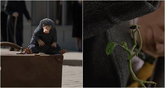 니플러(사진 왼쪽)와 보우트러클 / 사진='신비한 동물들과 그린델왈드의 범죄' 스틸컷