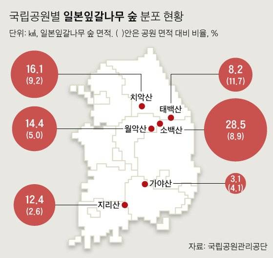 그래픽=김주원 기자 zoom@joongang.co.kr
