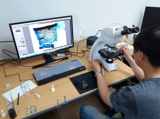 중국산 냉동고추로 만든 고춧가루의 세포벽 풍괴 현상을 광학현미경을 이용해 확인하는 모습. [사진 국립농산물품질관리원 전남지원]