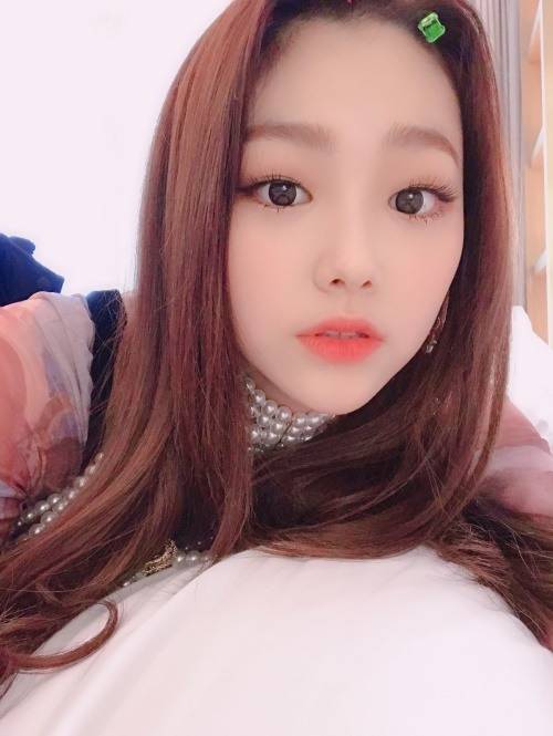 (사진=젤리피쉬 제공)