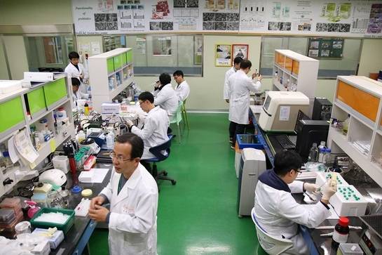 쎌바이오텍에 소속된 연구원들이 연구를 하고 있다. /박지환 기자