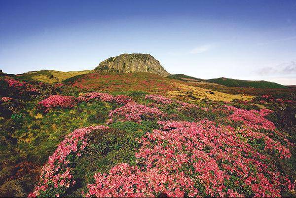 [월간산]한라산 선작지왓 너머로 백록담이 우뚝 솟은 모습이 보인다.