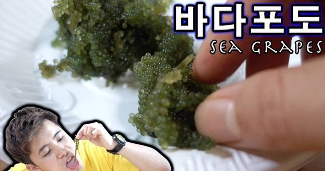 유튜브 채널 ‘허팝’ 영상 캡처