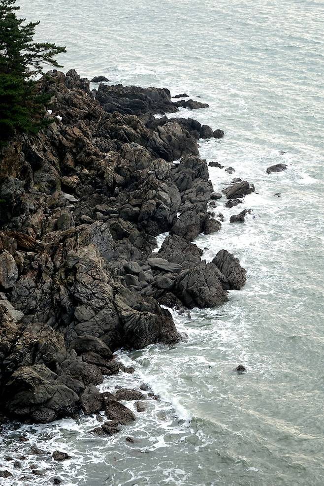 파도는 말을 걸고, 걷는 이는 대답이 궁하다.