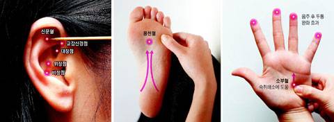 귀, 발, 손의 경혈점을 자극하면 장기 기능을 높이는 데 도움을 줄 수 있다./사진=헬스조선 DB