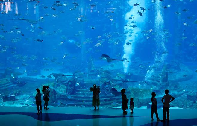 아틀란티스리조트 내 아쿠아리움