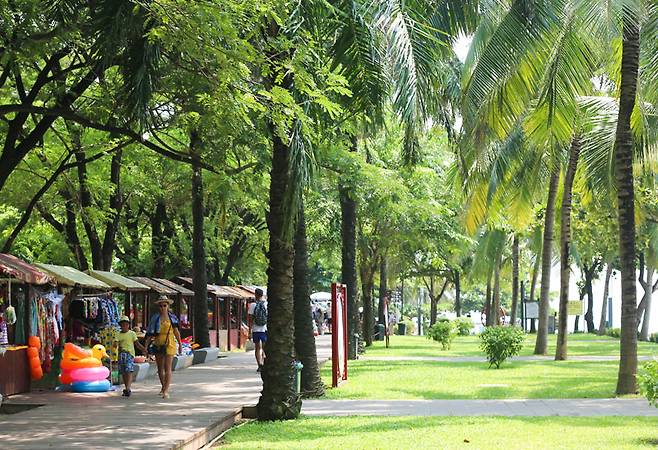 높게 솟은 야자수 사이를 걷다 보면열대 남국에 온 듯한 기분이 든다