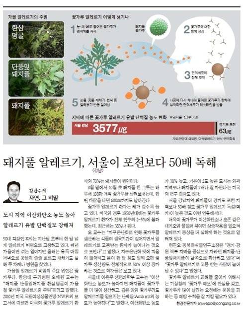 기후변화와 알레르기에 관한 기사.