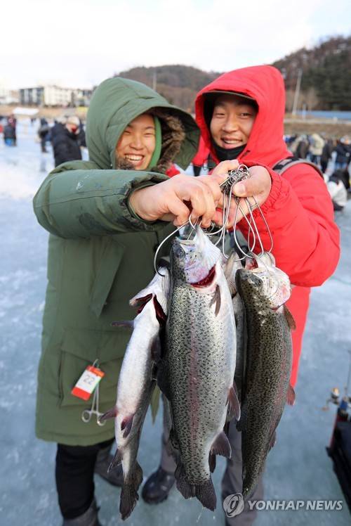 평창송어축제 얼음낚시 [강원도 평창군 제공]
