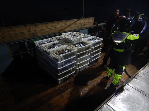 불법 조업 중국 어선 단속 [서해어업관리단 제공]