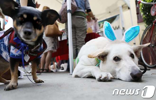 (자료사진) © AFP=뉴스1