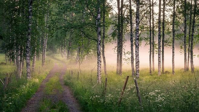기억을 잘 통제하지 못하는 것과 주의력 산만과 같은 인지적 문제에는 연관이 있다