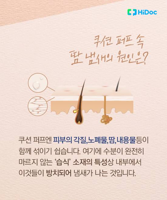 쿠션 퍼프 위생 4