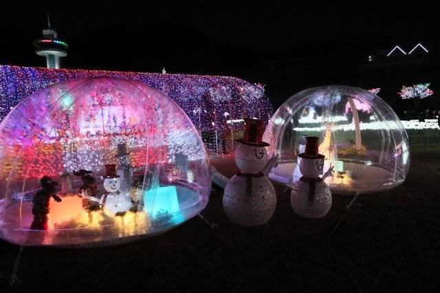 보성 차밭 빛축제