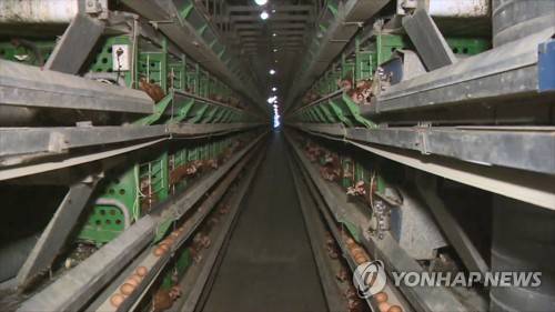 양계장 [연합뉴스TV 제공]