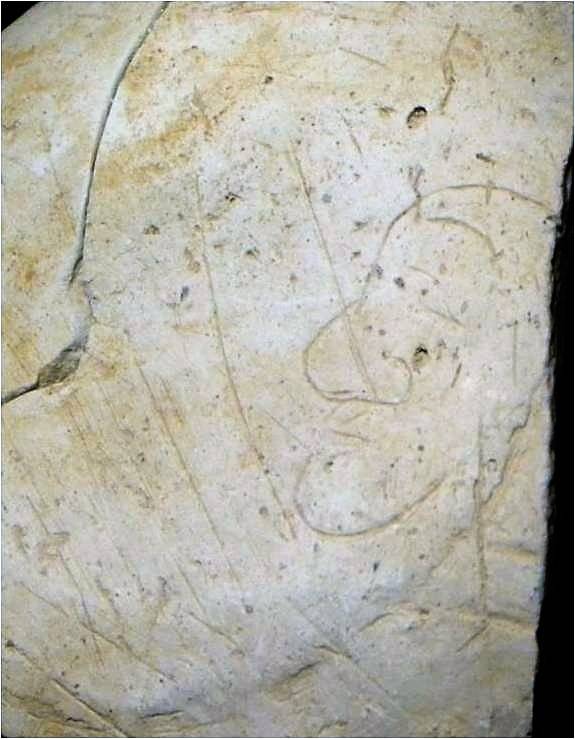 전남 함평의 백제시대 마을 유적지에서 나온 토기에는 큰 코에 주걱턱을 가진 승려의 얼굴이 그려져 있다. 백인 계통의 승려로 추정된다. 권오영 교수 제공