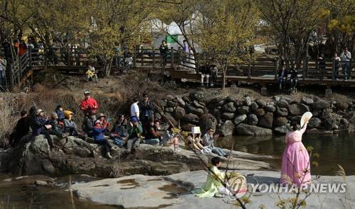 구례 산수유꽃축제 즐기는 상춘객들 [전남 구례군 제공]