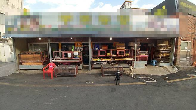부산 북구의 구포시장 안에 있는 한 개고기 가게 모습. 부산시 제공