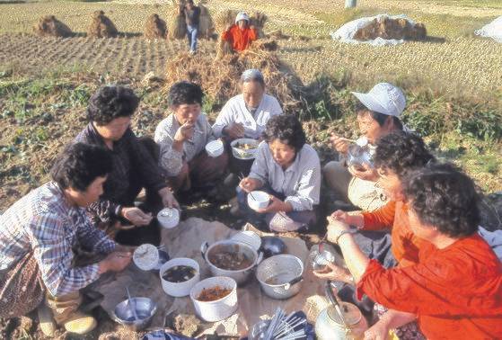 충남 논산에서 가을걷이 들녘에 농민들이 새참을 먹고 있다. [중앙포토]