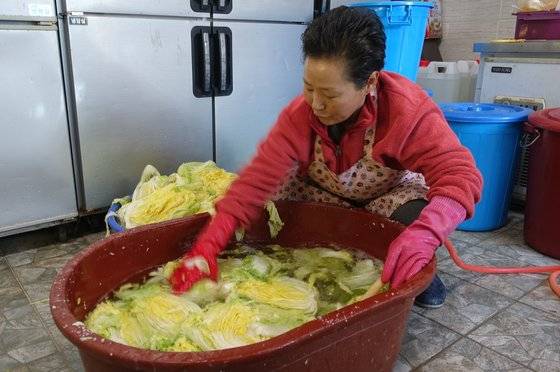 ‘옥이네밥상’ 주인 김옥이씨가 전날 오후 8시에 절인 배추를 다음날 오전 9시에 헹궈 건지고 있다.