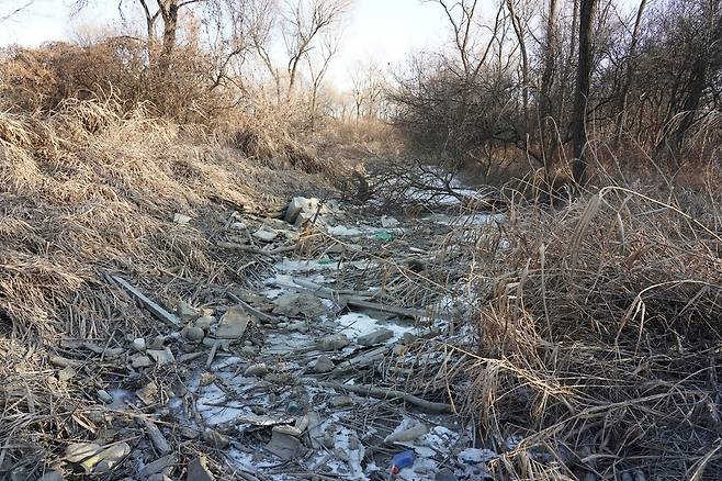 바닷물과 강물이 넘나들며 버드나무 군락을 적셔줘야 할 장항습지 갯골에 각종 생활 쓰레기가 가득차 있다.