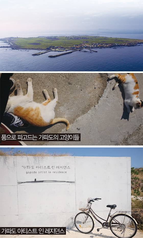 (출처) 사진: 현대카드